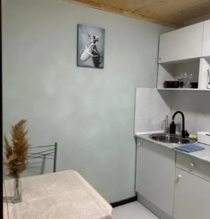 Duplex Kattohuoneisto Perheelle Βάνταα